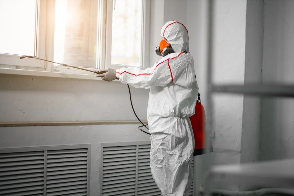 Professional mold remediation services in Phillipsburg, NJ